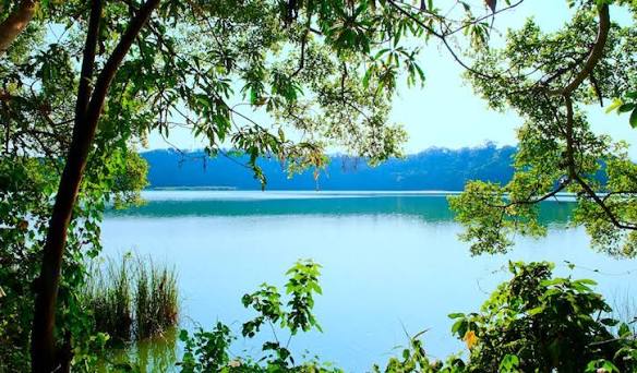 Lake Duluti and Arusha City Culture Day Trip